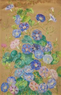 Morning Glories; A Pair