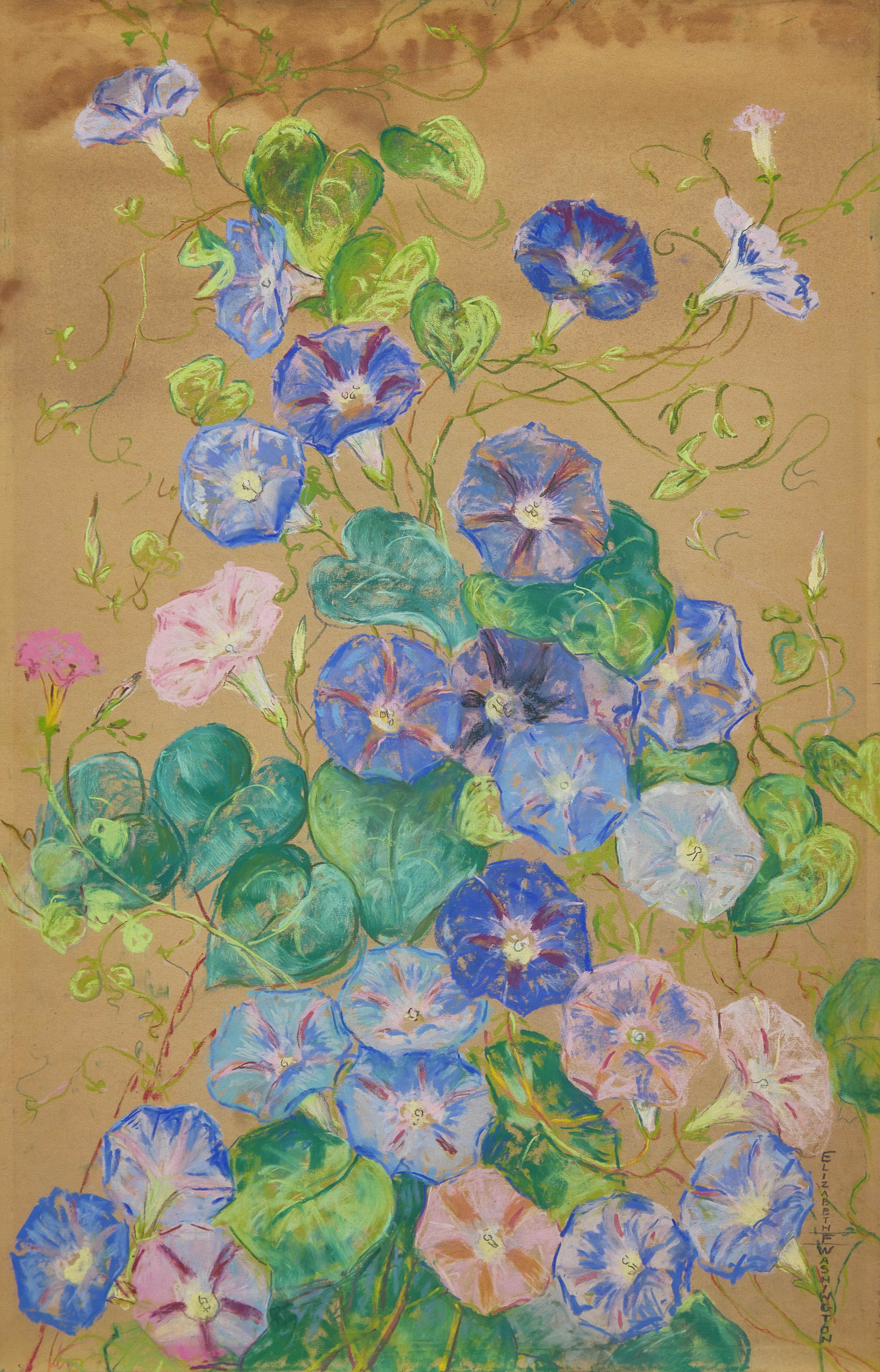 Morning Glories; A Pair