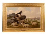 Watching the Flock
