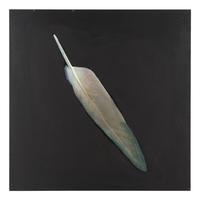 Feather