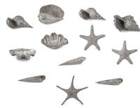 A Collection of Silvered Cast Metal Seashells
