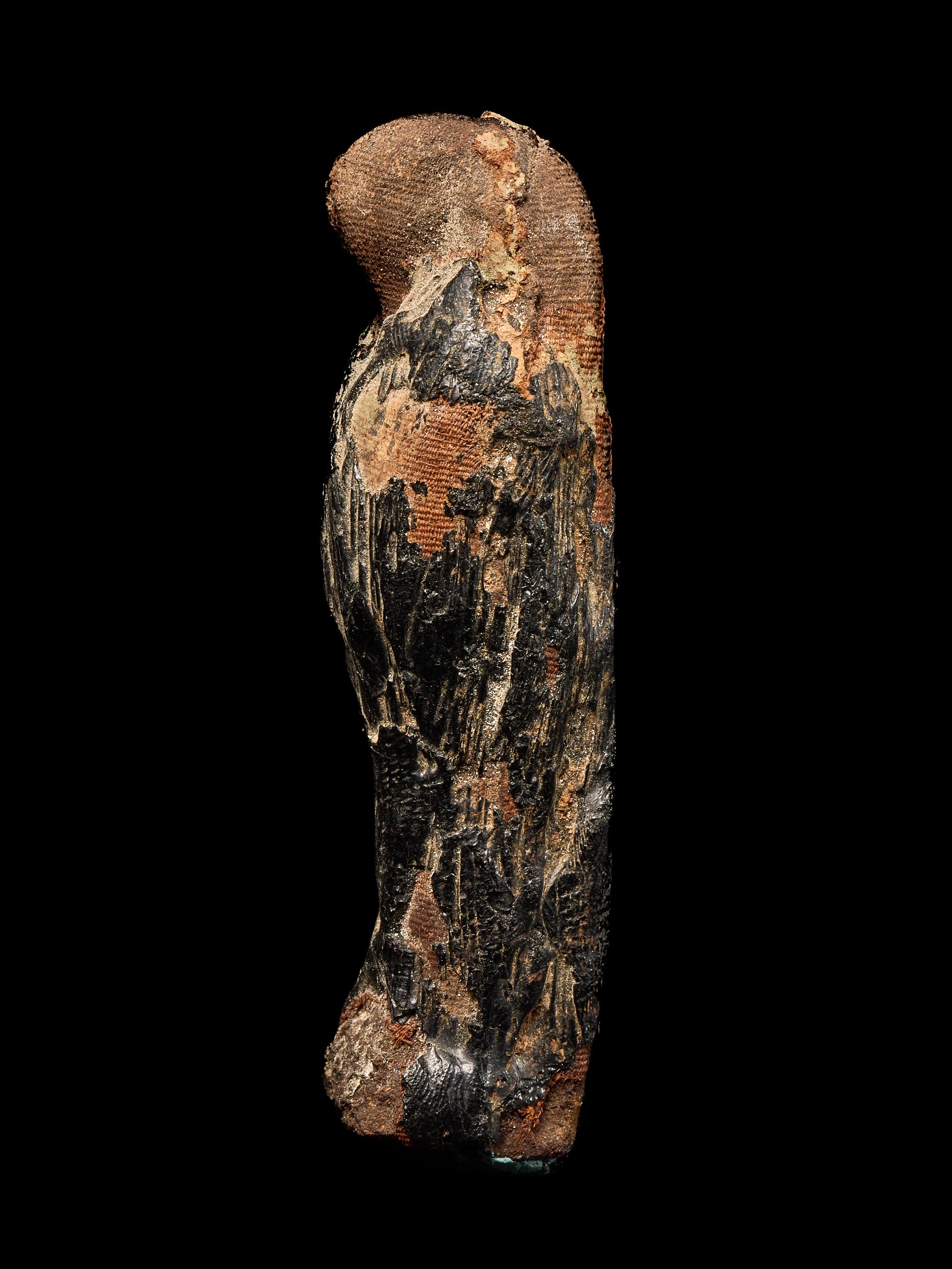 An Egyptian Mummified Falcon