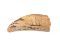 A Scrimshaw Tooth with Whaling Scene