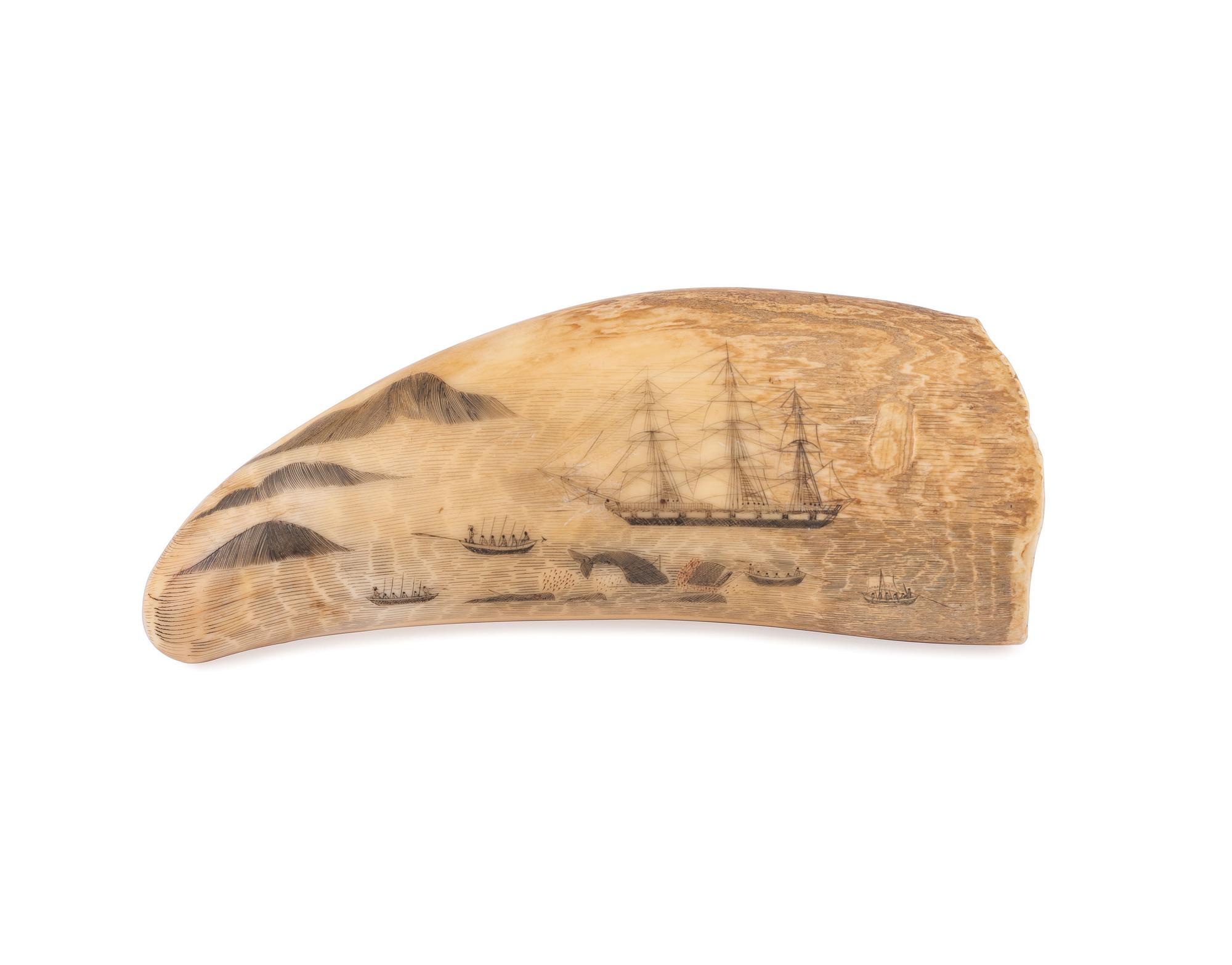 A Scrimshaw Tooth with Whaling Scene