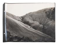 [EARLY PHOTOGRAPHY] -- [AUSTRALIA]. Album containing photographs of Queensland, Australia, incl. images of landscapes, timber hauling, and aboriginal Australians.
