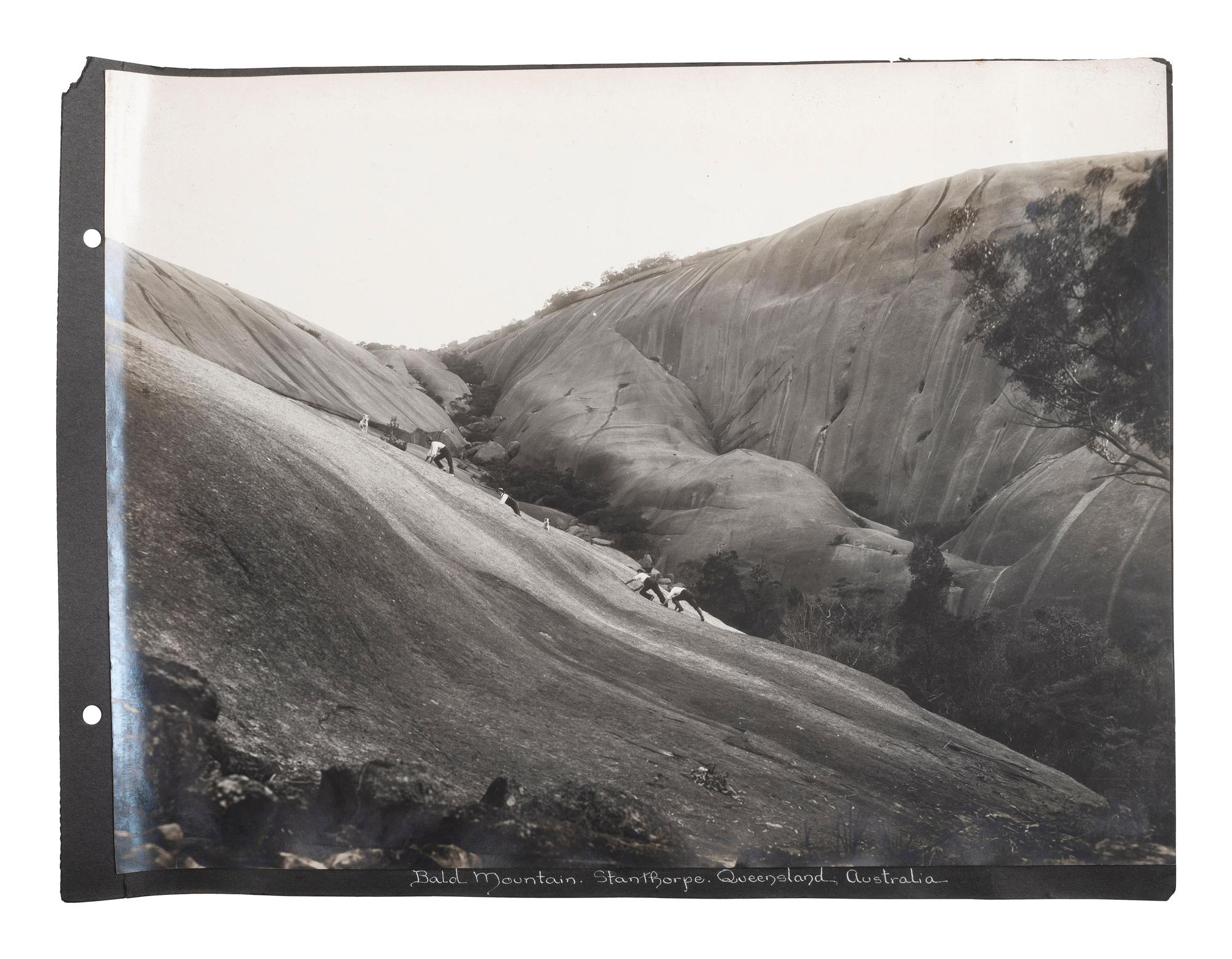 [EARLY PHOTOGRAPHY] -- [AUSTRALIA]. Album containing photographs of Queensland, Australia, incl. images of landscapes, timber hauling, and aboriginal Australians.