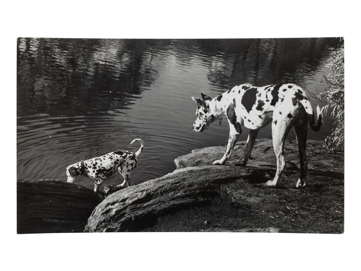 A Group of Four Works depicting dogs, 1958-65; printed ca. 1958-65