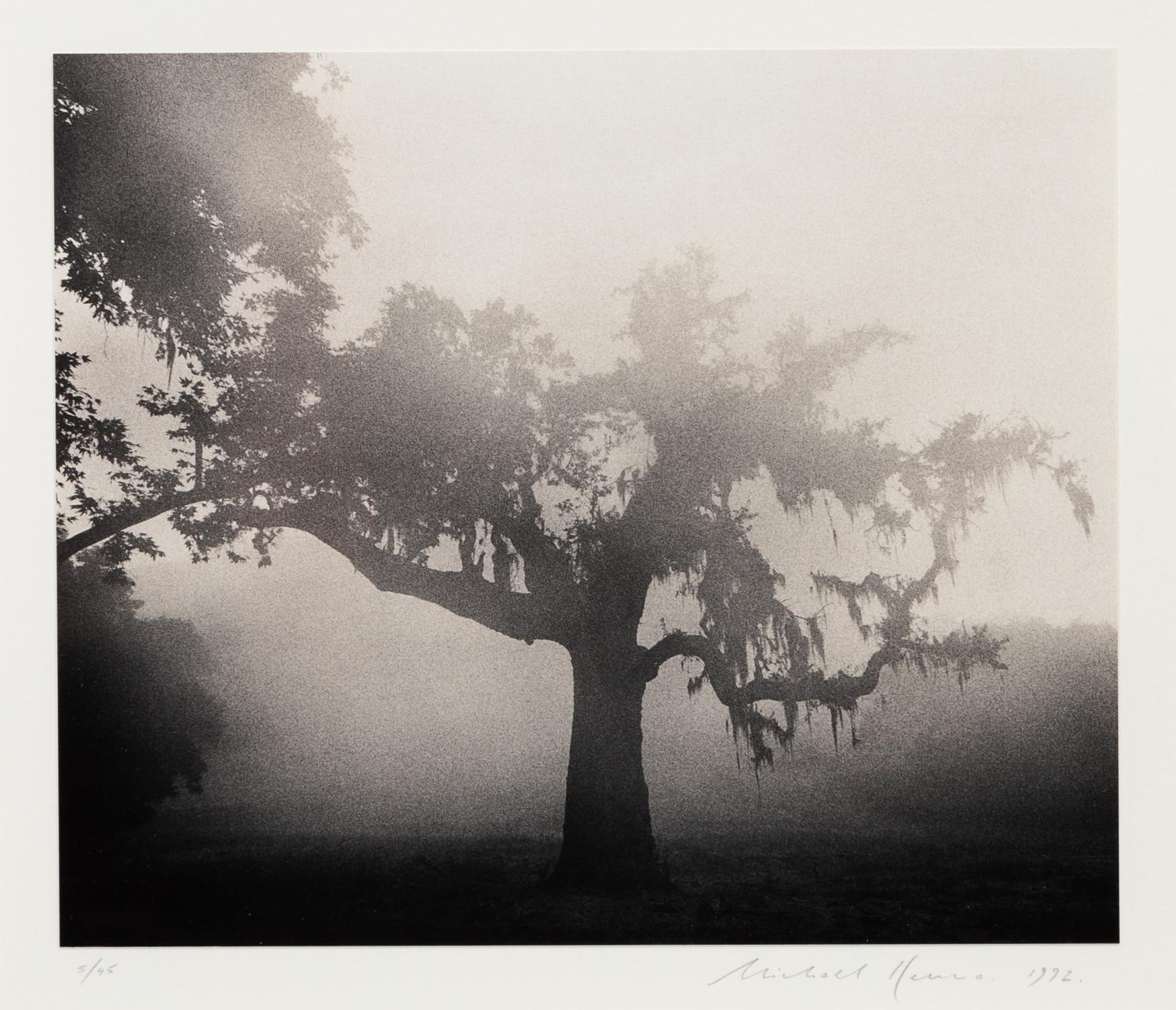 Michael Kenna, (British, b. 1953), Rancho San Carlos, Study 4, San Carlos, CA, 1992