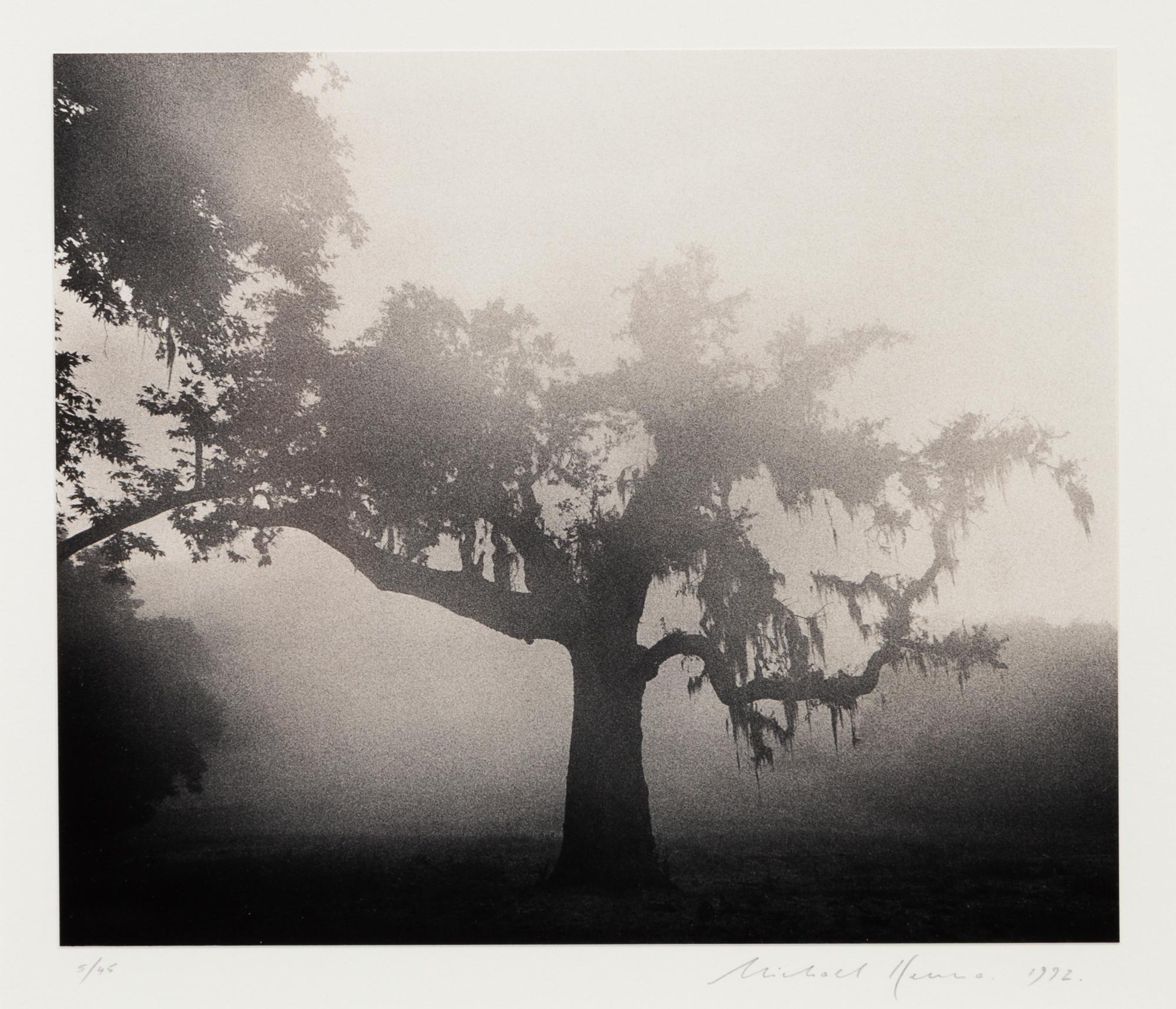 Michael Kenna, (British, b. 1953), Rancho San Carlos, Study 4, San Carlos, CA, 1992