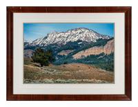Yellowstone Country Grizzly , edition 79/1500