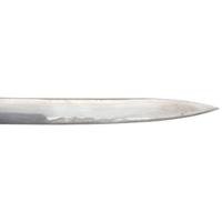 Fine US Model 1850 Staff & Field Officers Sword by Ames