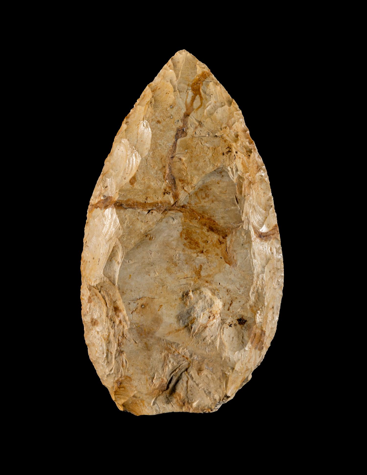 A Paleolithic Flint Point