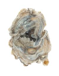 An 18 Karat White Gold, Agate Geode and Diamond Pendant/Brooch, Andrew Grima, Circa 1975, 26.80 dwts.