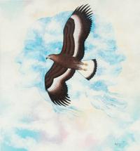 untitled, Eagle