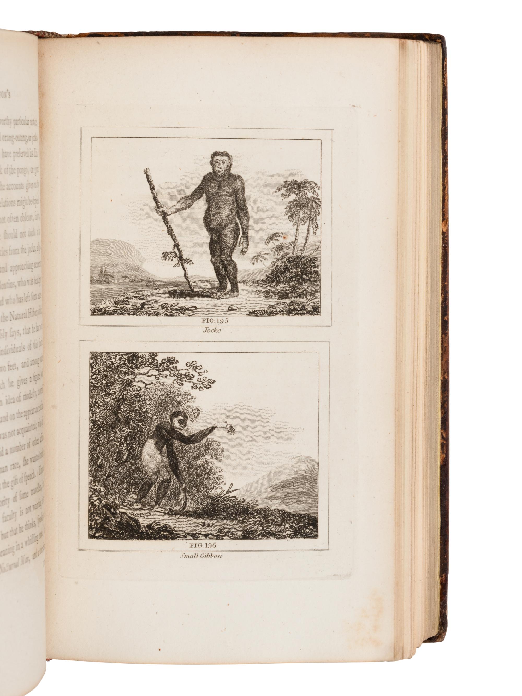 [NATURAL HISTORY]. BUFFON, Georges Louis Leclerc, Comte de (1707-1788). Buffon's Natural History Containing a Theory of the Earth, a General History of Man... London: Printed for the Proprietor and Sold by H.D. Symonds, 1797.