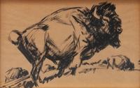 Buffalo