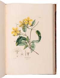 [EXPLORATION -- AMERICAS]. HUMBOLDT, Alexander von (1769-1859) and Aime J. A. BONPLAND (1773-1858). Voyage aus regions equinoctiales du nouveau continent . Part VI: Botanique. Nova genera et species plantarum... . Paris: Librairie Grecque-Latine-Allemande, 1818.