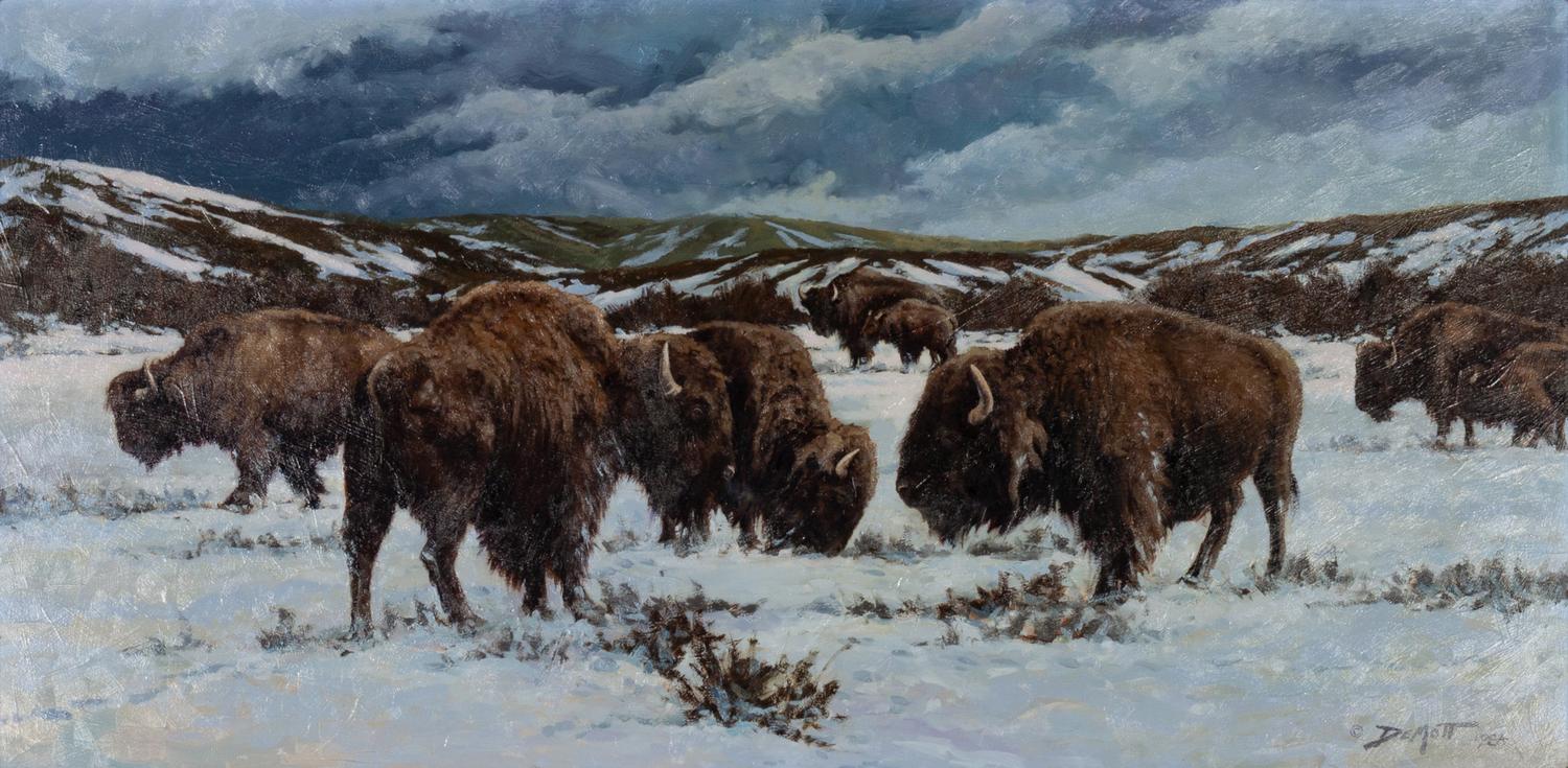 Winter on the Plains