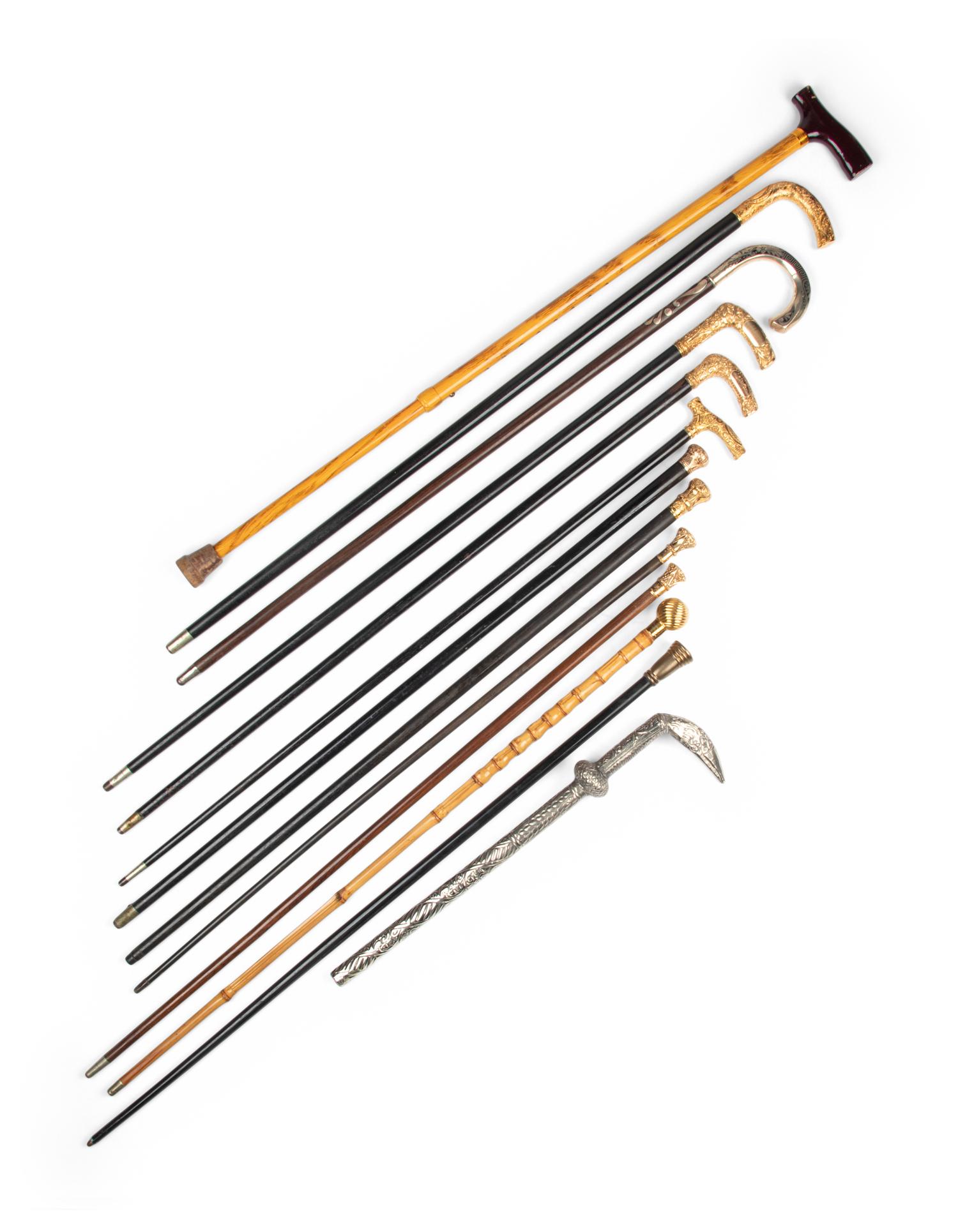 A Collection of Thirteen Gold-Filled, Silver and Metal Mounted Walking Sticks
