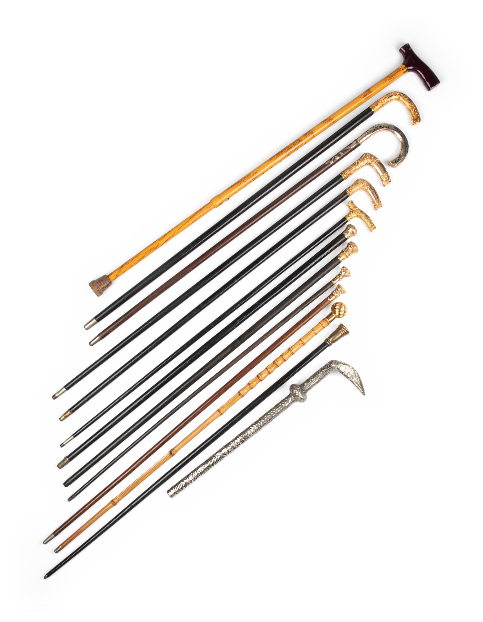 A Collection of Thirteen Gold-Filled, Silver and Metal Mounted Walking Sticks