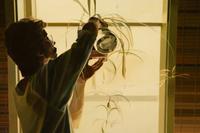 Watering Plants