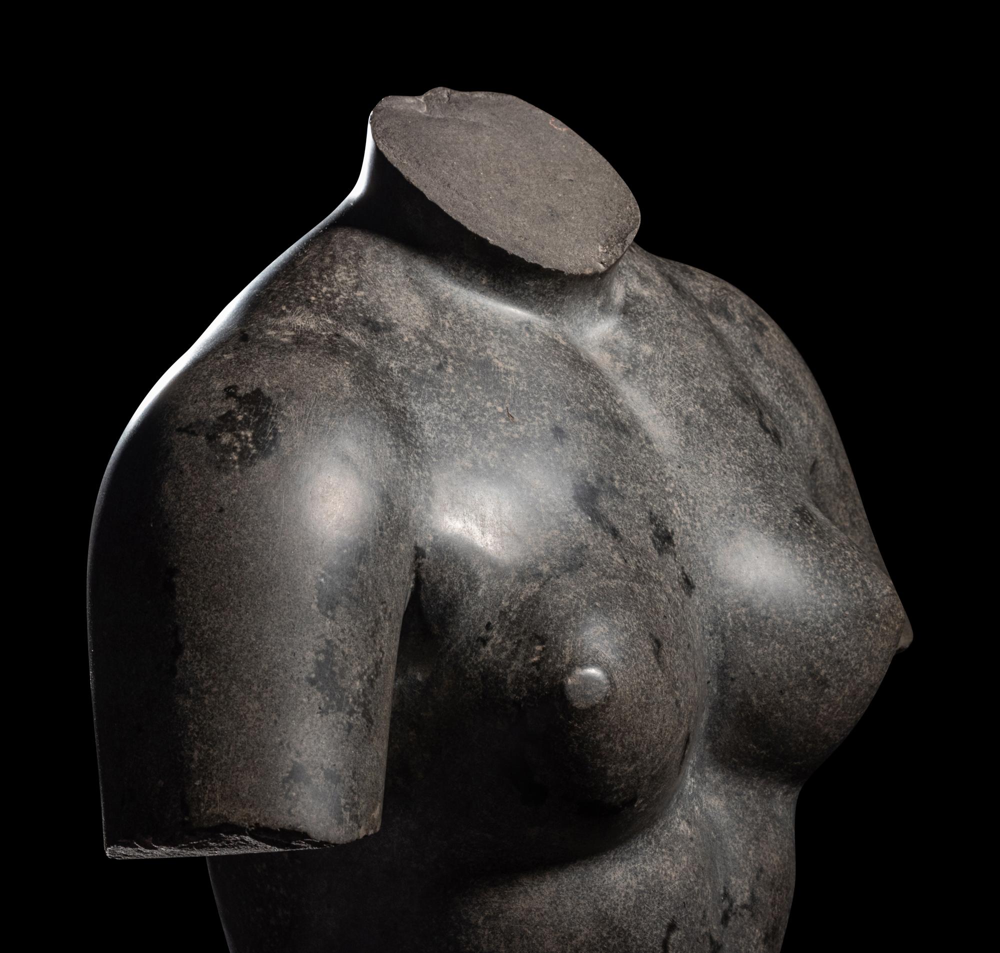 A Roman Torso of the Goddess Venus