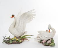 Two Boehm Mute Swans Height of taller 17 1/4 inches.
