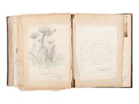 [NATIVE AMERICANS]. JUNKIN, William W. (1831-1903). A Collection of Indian Photographs and Views with Photos of a Few White Employes [ sic ] Together with Some Indian Letters and Paintings. Made by W.W. Junkin, Fairfield, Iowa. 1889-93.