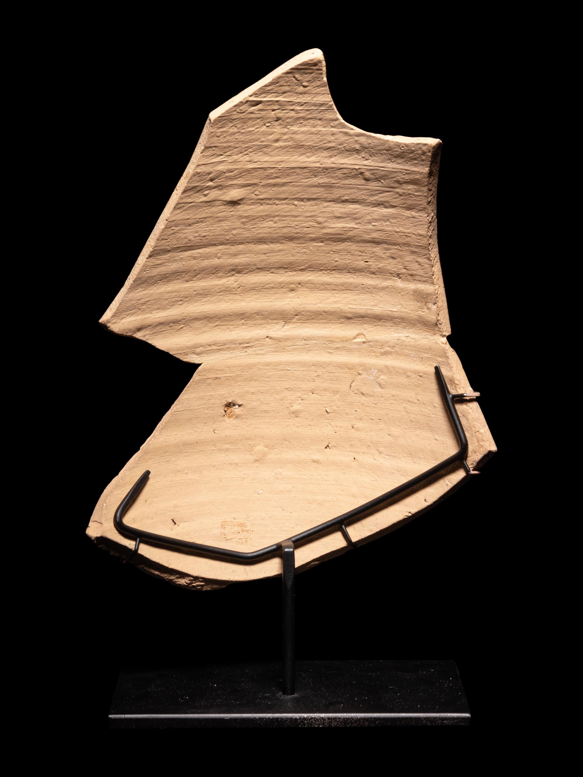 A Corinthian Black-Figured Olpe Fragment