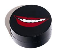 Cheshire Smile (Peter Norton Family Christmas Project) , 2008