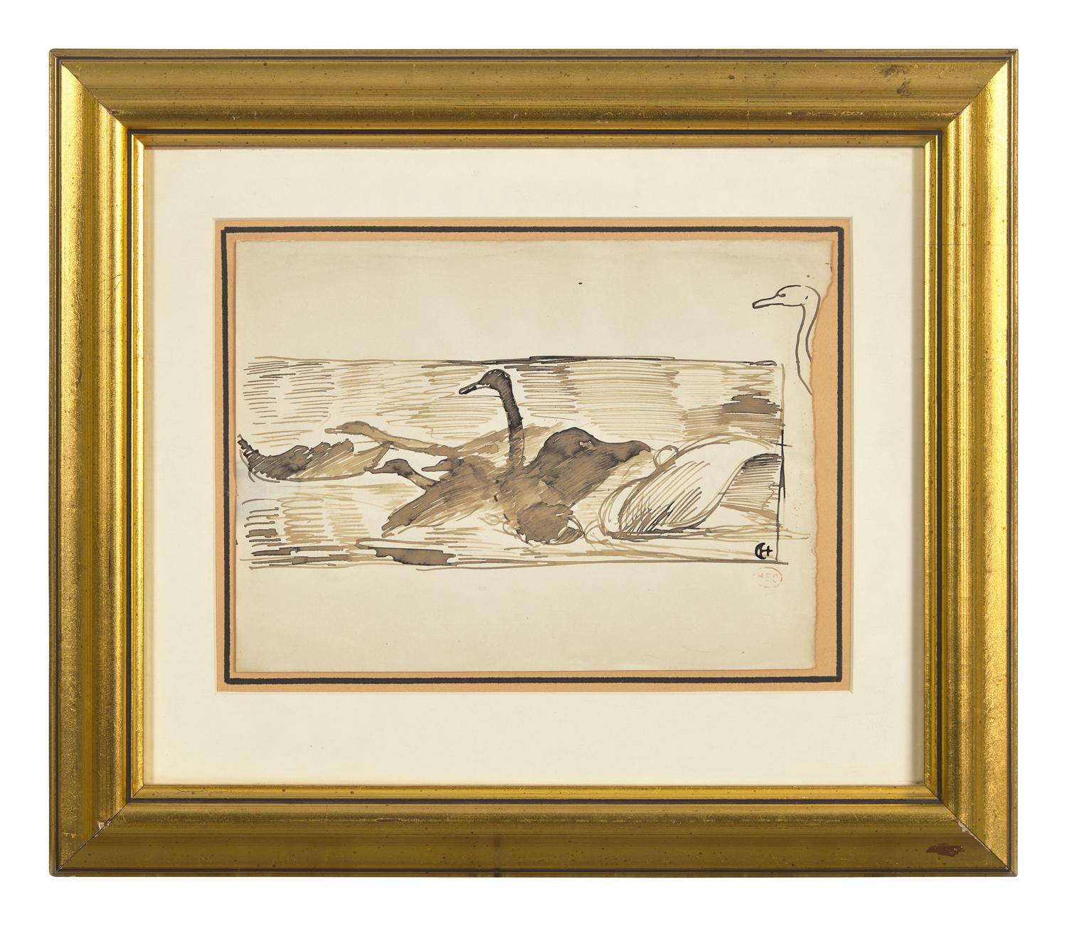 Cygnes