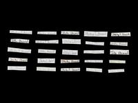 *** NOW PART OF 376988/27 *** A Group of Stan Musial Signed Autograph Cuts from The Collection of Stan Musial
