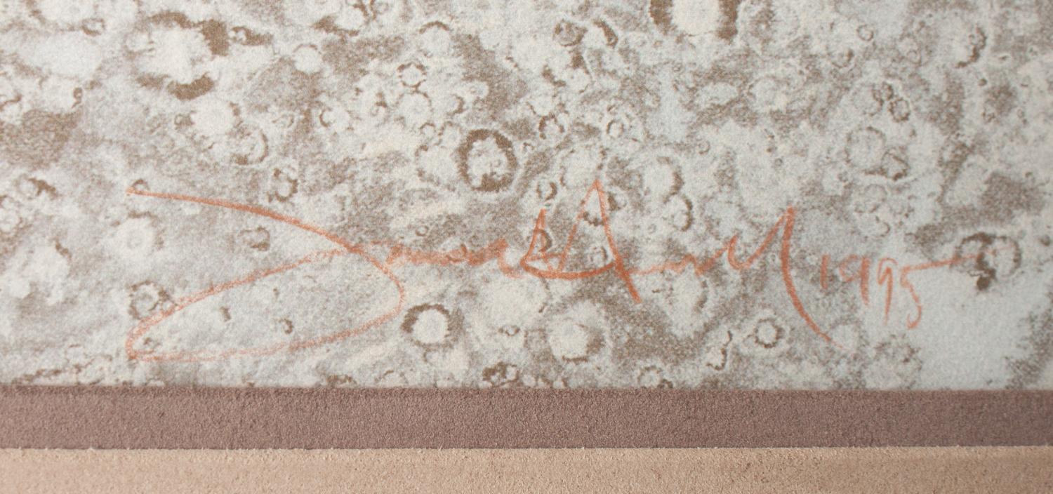 White Buffalo Woman , Artist's Proof