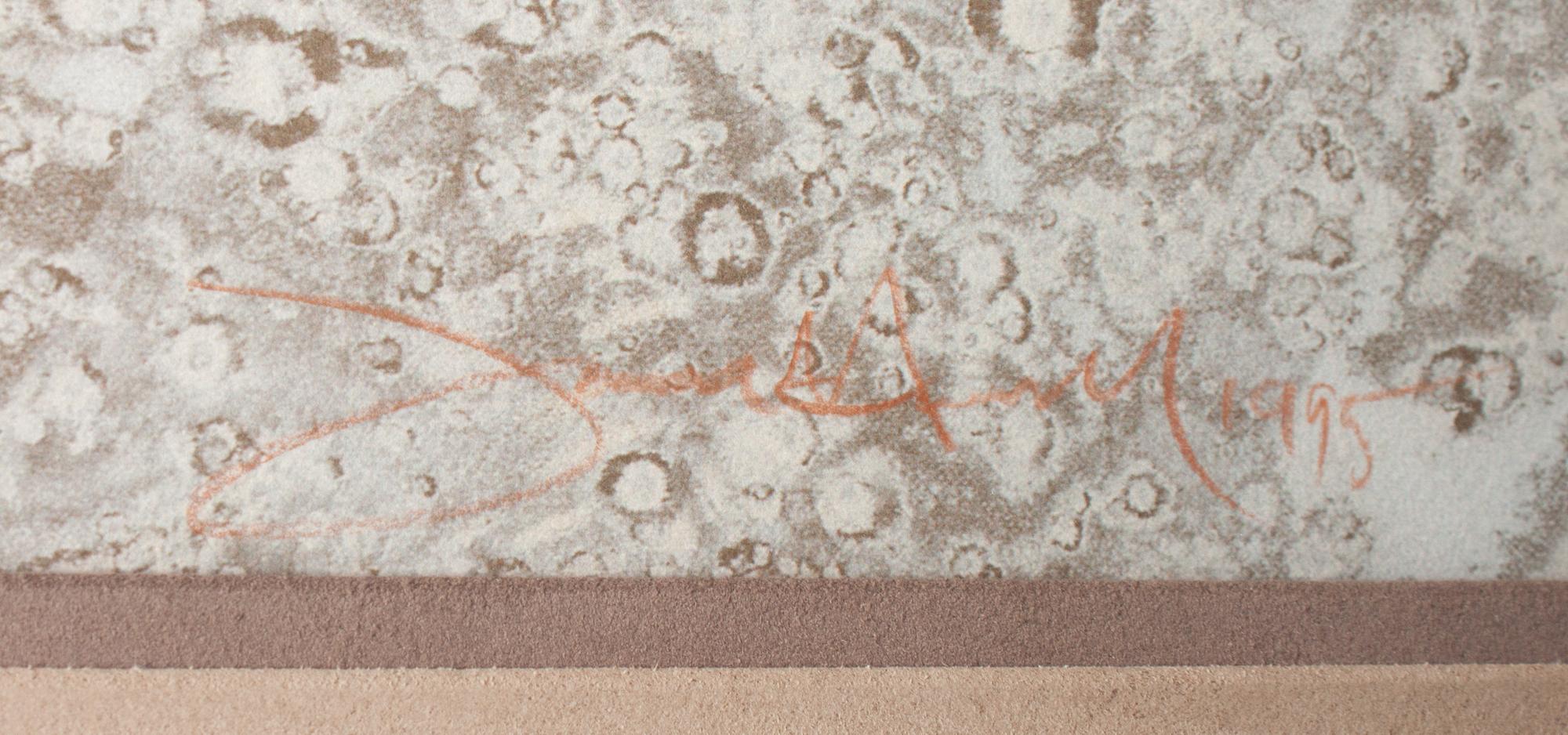 White Buffalo Woman , Artist's Proof