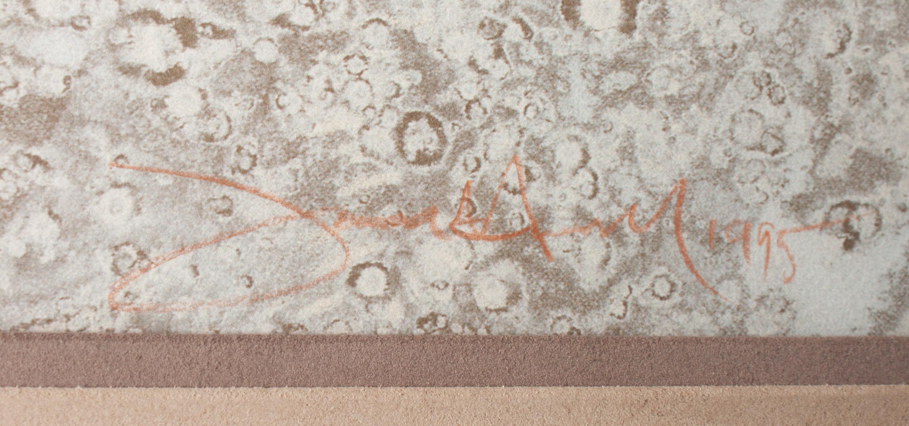 White Buffalo Woman , Artist's Proof