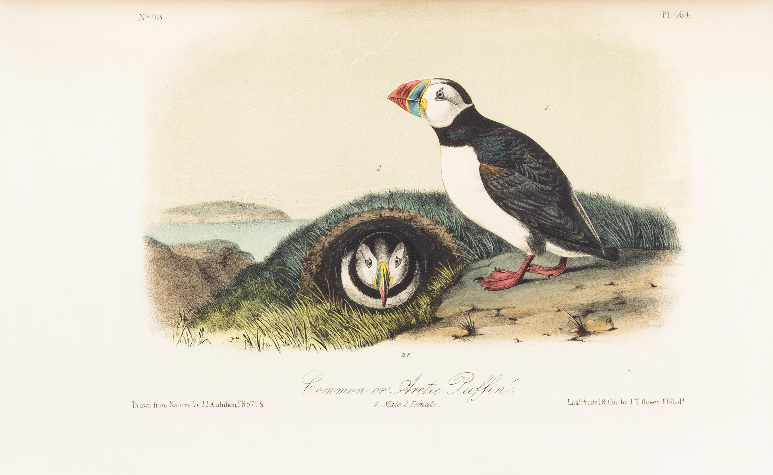 AUDUBON, John James. The Birds of America. New York: John Lockwood, [ca 1870-1871]. 8 volumes, royal 8vo.