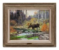 Wyoming Moose