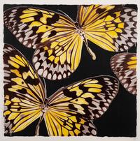 Monarchs