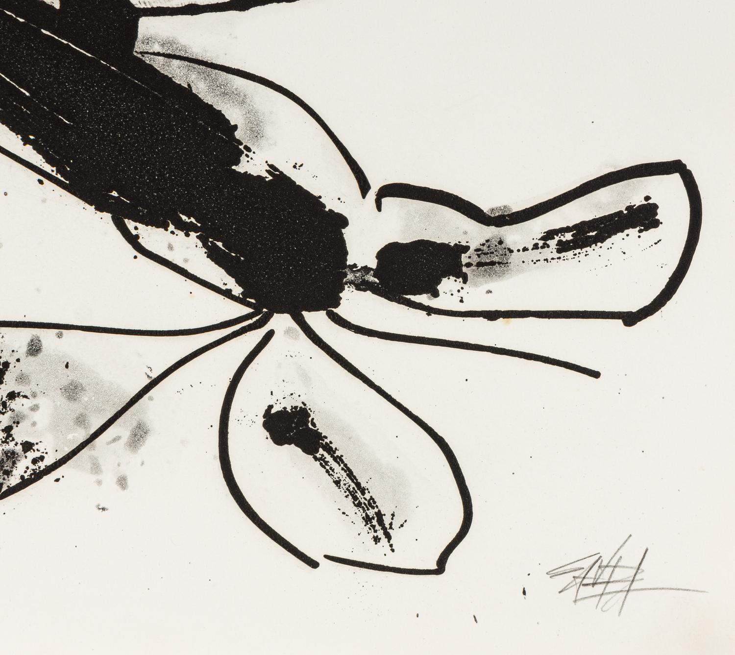 Aurelia (from the Novisaurias series), 1969