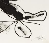Aurelia (from the Novisaurias series), 1969