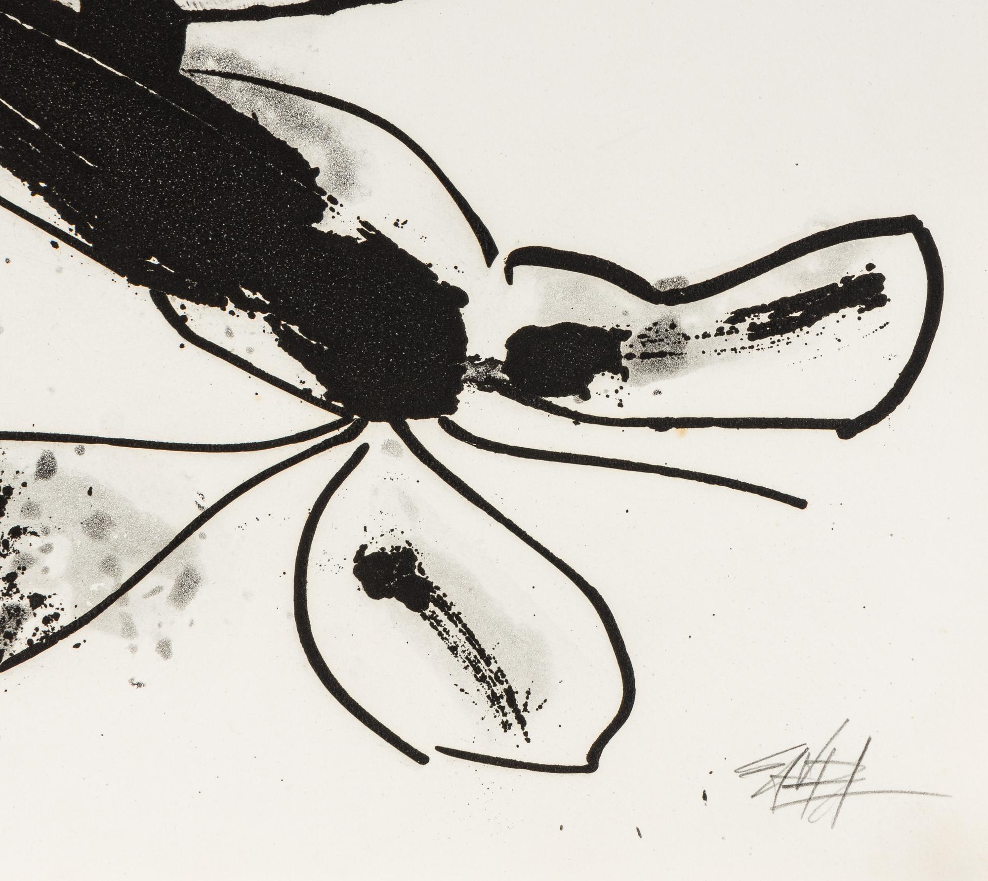 Aurelia (from the Novisaurias series), 1969