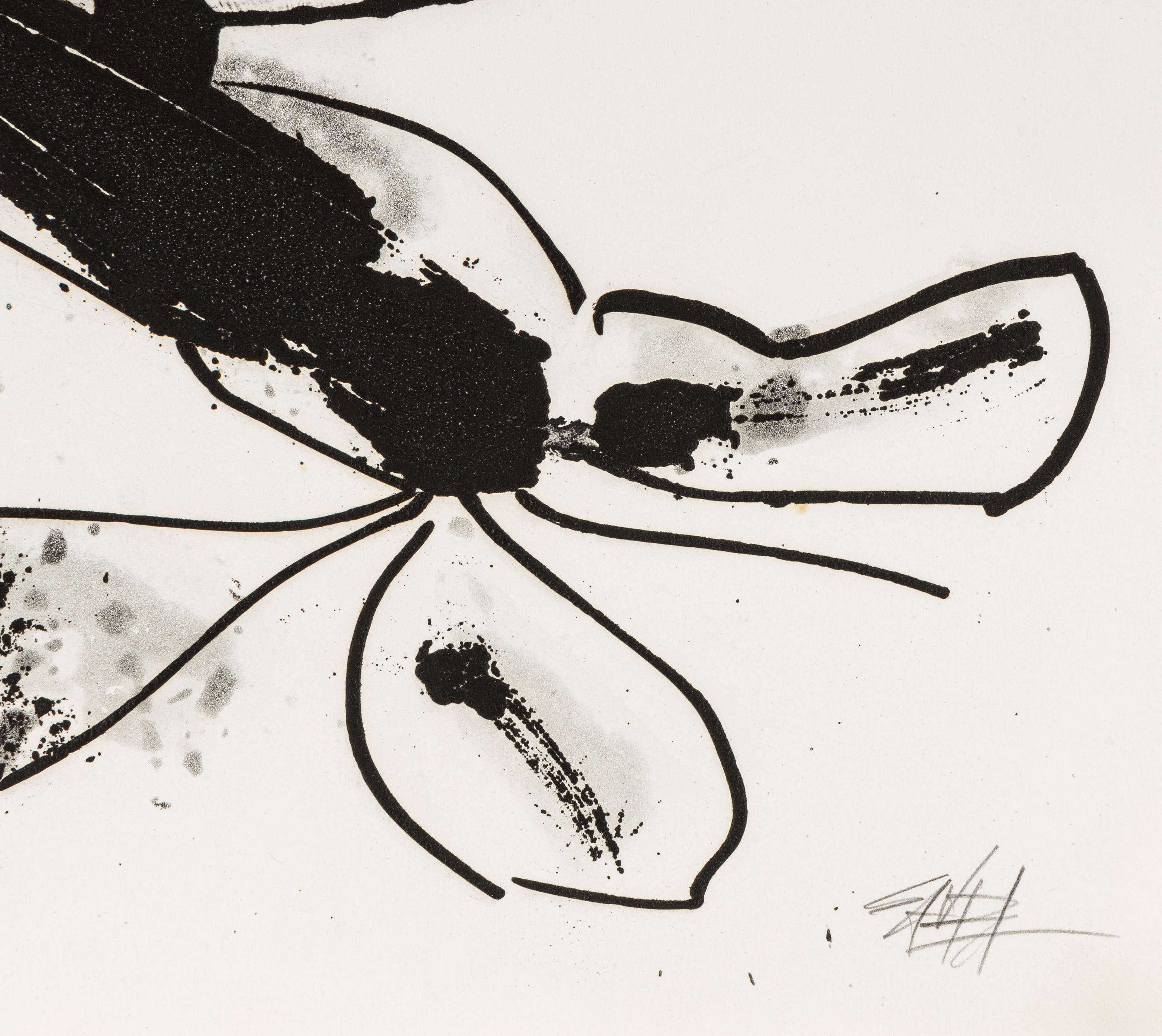 Aurelia (from the Novisaurias series), 1969