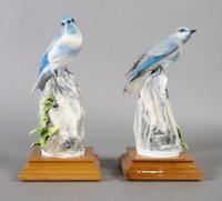 A Pair of Royal Worcester Dorothy Doughty Birds, Mountain Bluebirds, Height overall 10 inches.