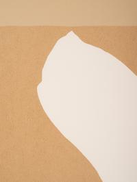 Untitled (from the Flight portfolio)