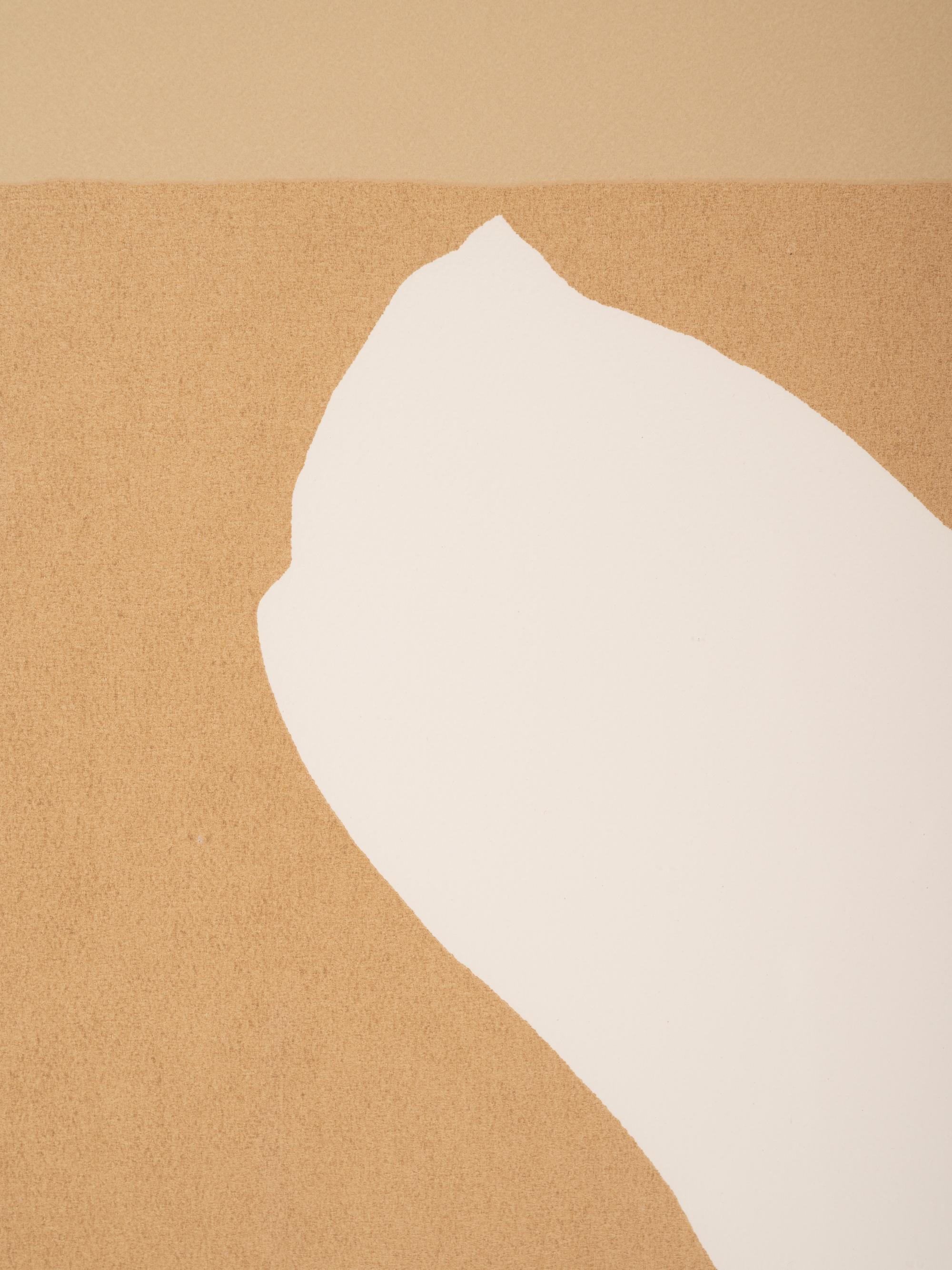 Untitled (from the Flight portfolio)