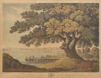 [Philadelphia] Beck, G(eorge). Philadelphia, from the Great Tree at Kensington, under which Penn made his Great Treaty with the Indians
