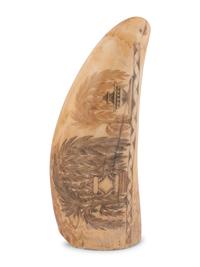 A Scrimshaw Tooth with Whaling Scene