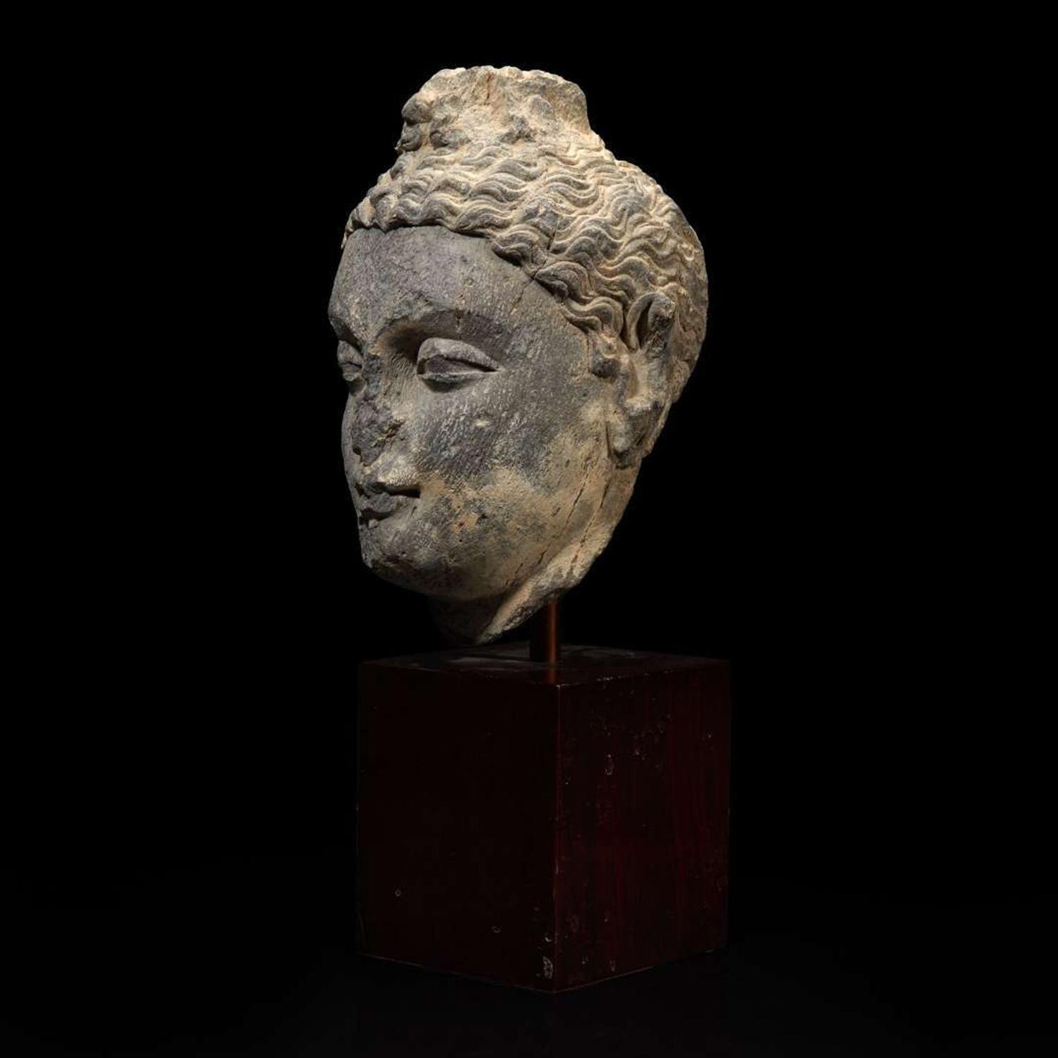 A carved schist head of a Buddha, Gandhara 健陀罗片岩佛首 3rd - 5th Century or earlier ????????
