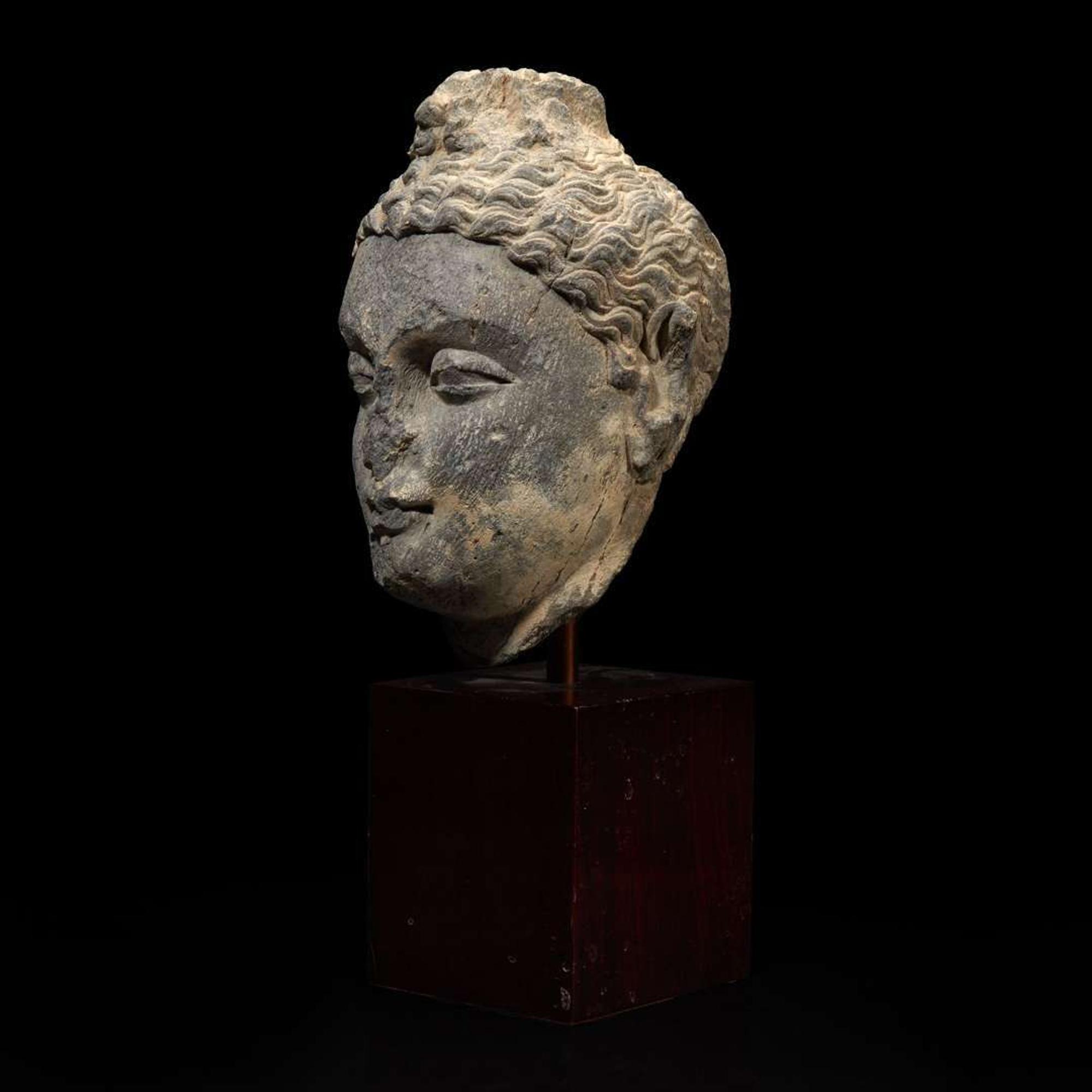 A carved schist head of a Buddha, Gandhara 健陀罗片岩佛首 3rd - 5th Century or earlier ????????