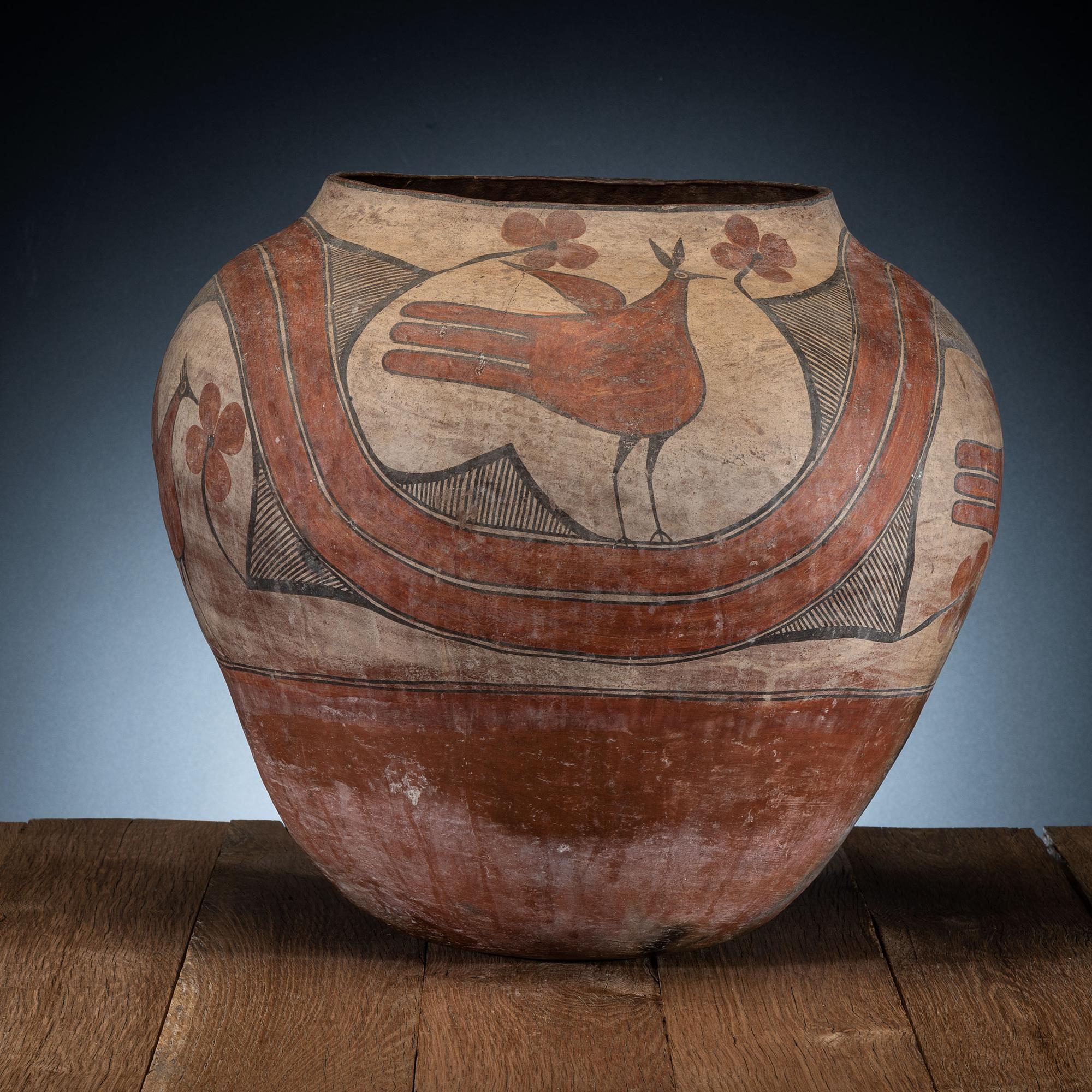 Zia Polychrome Pottery Olla